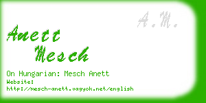 anett mesch business card